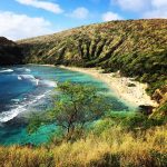 木造物件の調査