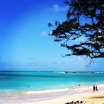 ブログ未更新期間に４棟目を購入した話