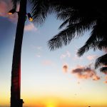 【不動産投資入門】国内不動産とアメリカ不動産の違いを紹介するよ