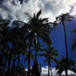 確定申告の時期がやってきました！