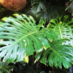 アメリカの個人所得税の税制が改定され税金が発生！