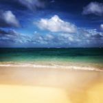 何か熱中する物を仕事にする