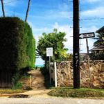 新規ビジネスの立ち上げ