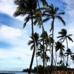 【トライアスロン】アイアンマンの称号を手に入れろ！【2019年版】